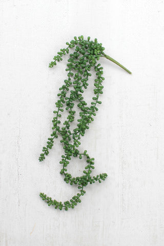 Faux Necklace Fern Succulent (set of 6)