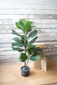 Faux Fiddle Leaf Fig Plant in Pot